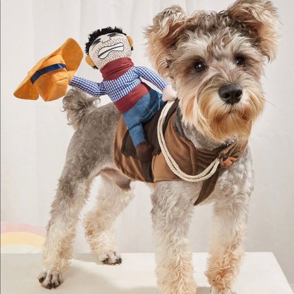 Dog Costume cowboy riding dog